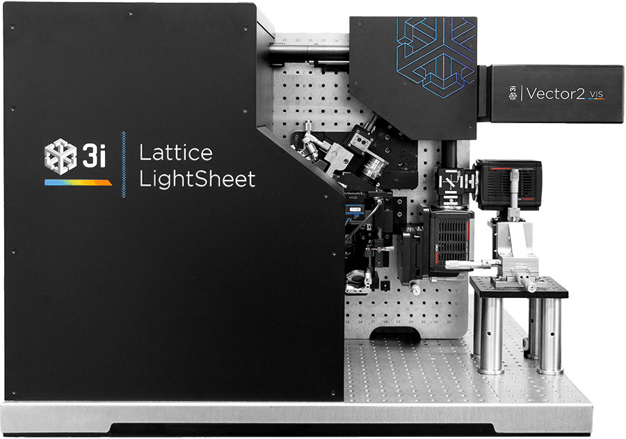 3i Lattice LightSheet 晶格光片显微镜