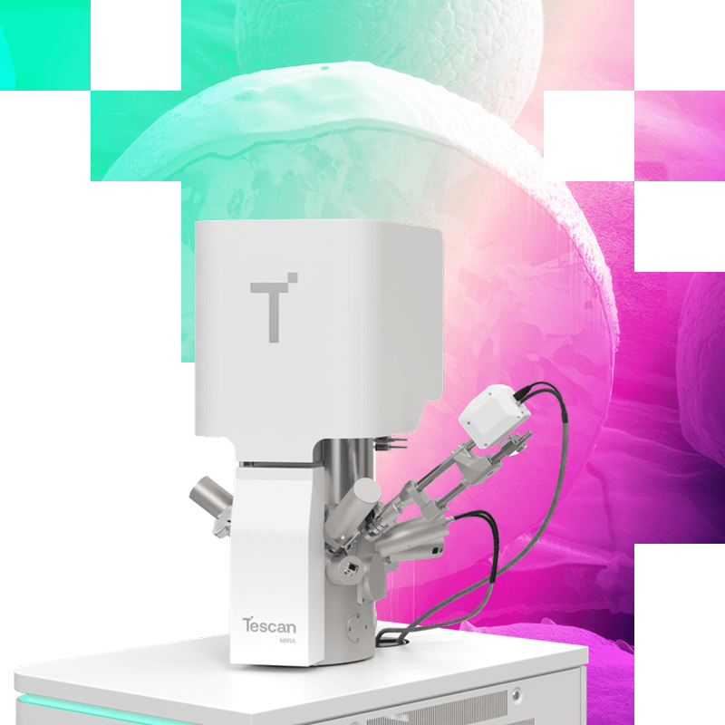 TESCAN MIRA XMU 场发射扫描电子显微镜